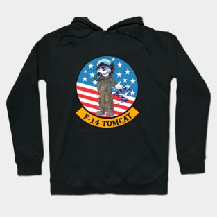 Grumman F-14 Tomcat Pilot Stars and Stripes Hoodie